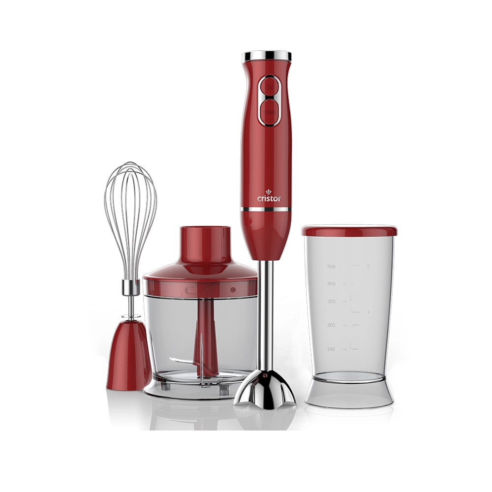 Russell Hobbs Mixeur Plongeant Multifonction 3en1 24702-56